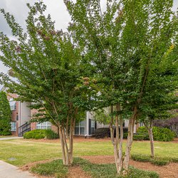 exterior at The Parkton apartments in Mableton GA